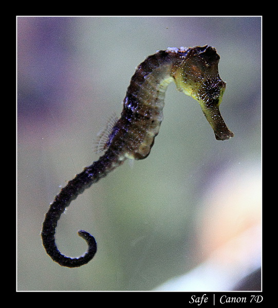 2012 - 06 - Dubai - 013